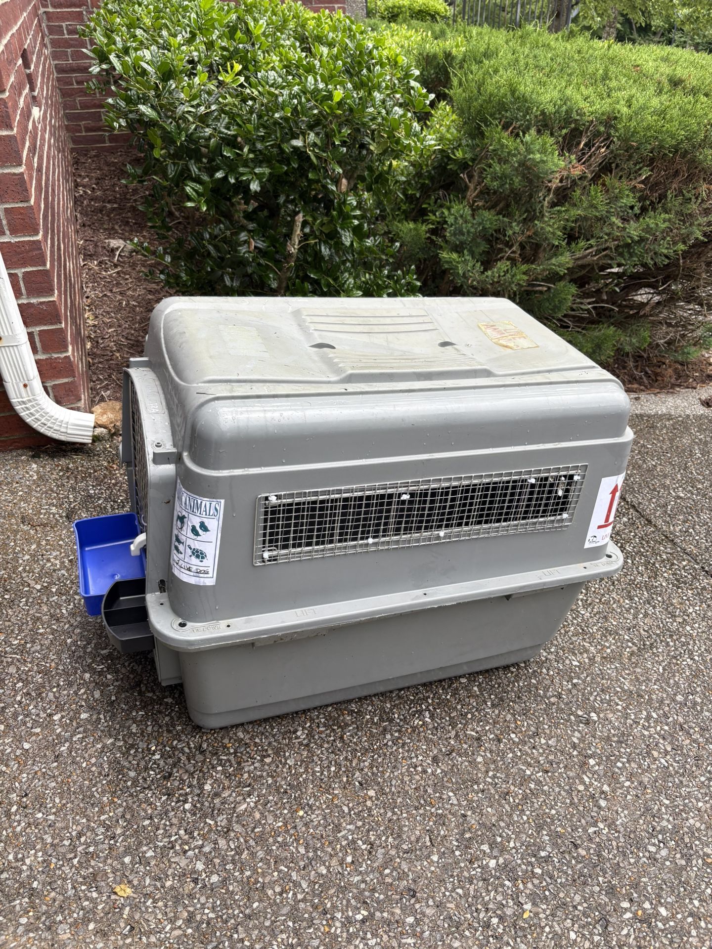 Animal Transport Cage (Dog)