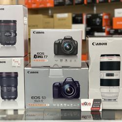 Canon DSLR Cameras And Lenses 