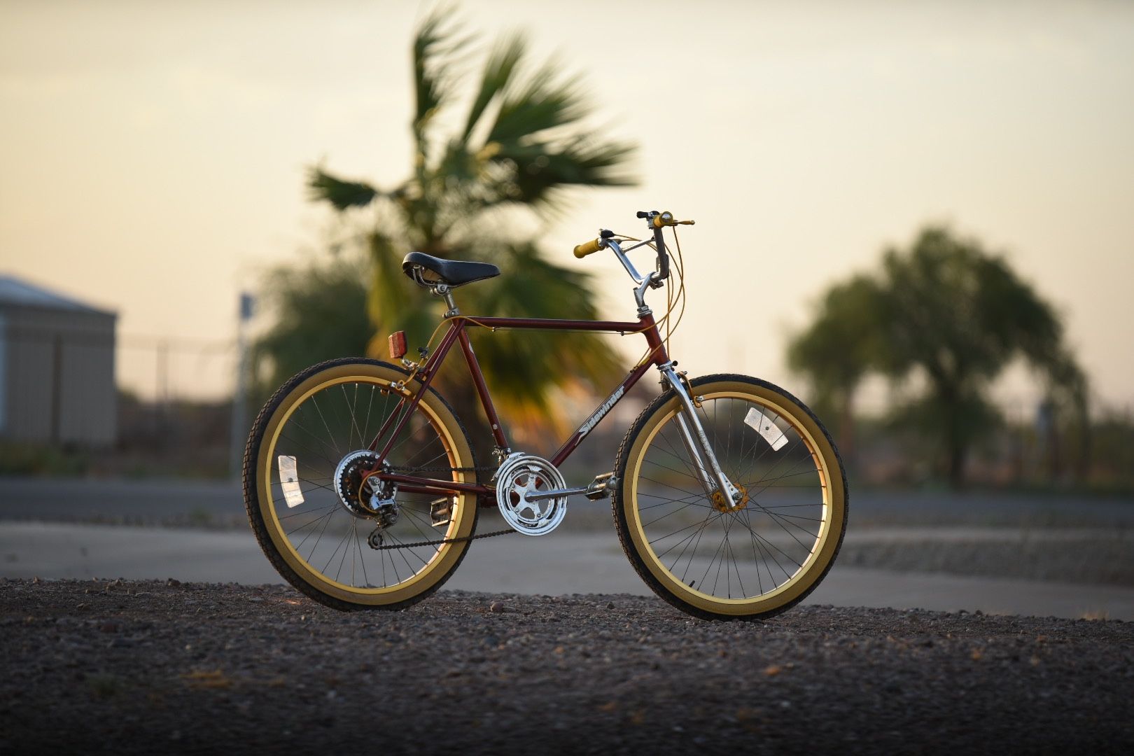 1982 Schwinn Sidewinder Vintage Rare MTB ATB Mountain Bike