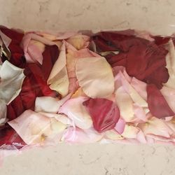 Fresh Rose Petals