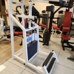 Cybex standing calf gym equipment exercise fitness weight machine