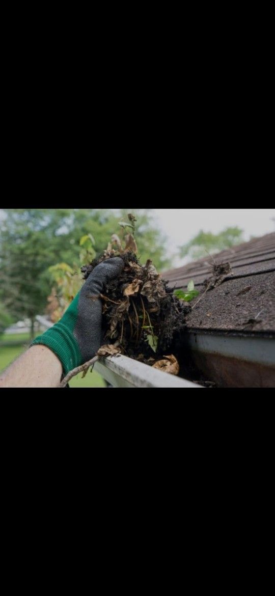 Gutter Cleaner!