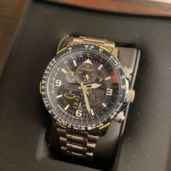 Promaster Citizen Blue Angels eco drive 