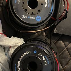 Subwoofer And Amplifier 