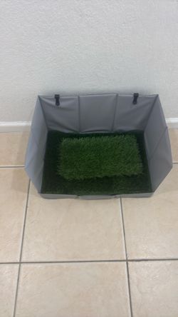 Dog grass