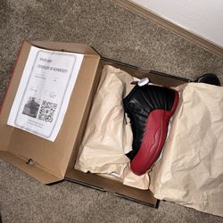 Flu Game 12