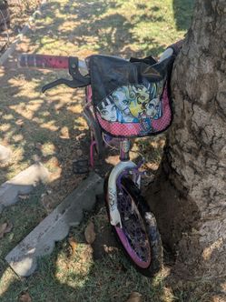 Girls Bike