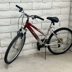 Womens Roadmaster Bike