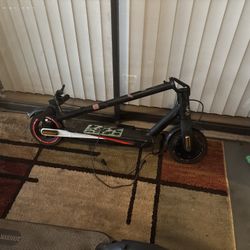 Electric Scooters 