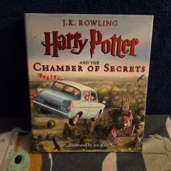 Harry Potter Illustrated Books 