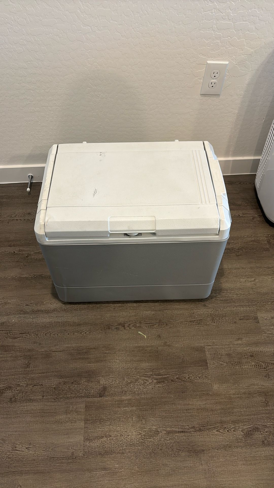 electric coleman cooler