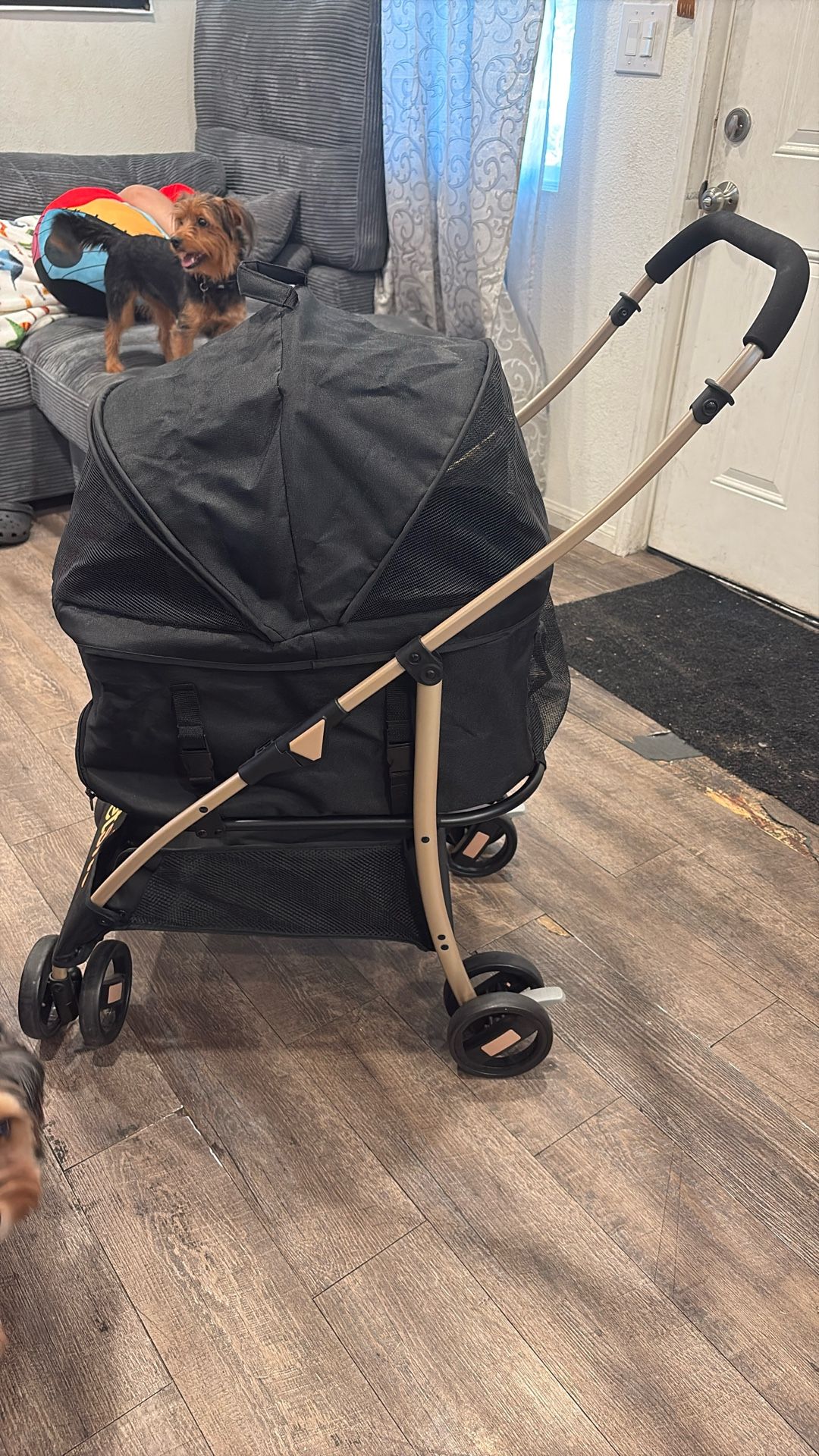 Dog Stroller