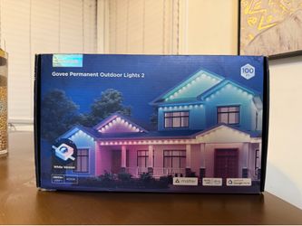 Govee Permanent lights 2
