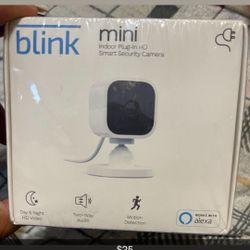 Mini Blink Camera
