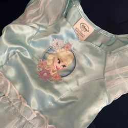 Frozen Dress