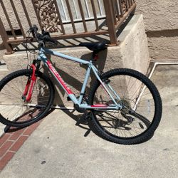 Mountain Bike Nishiki