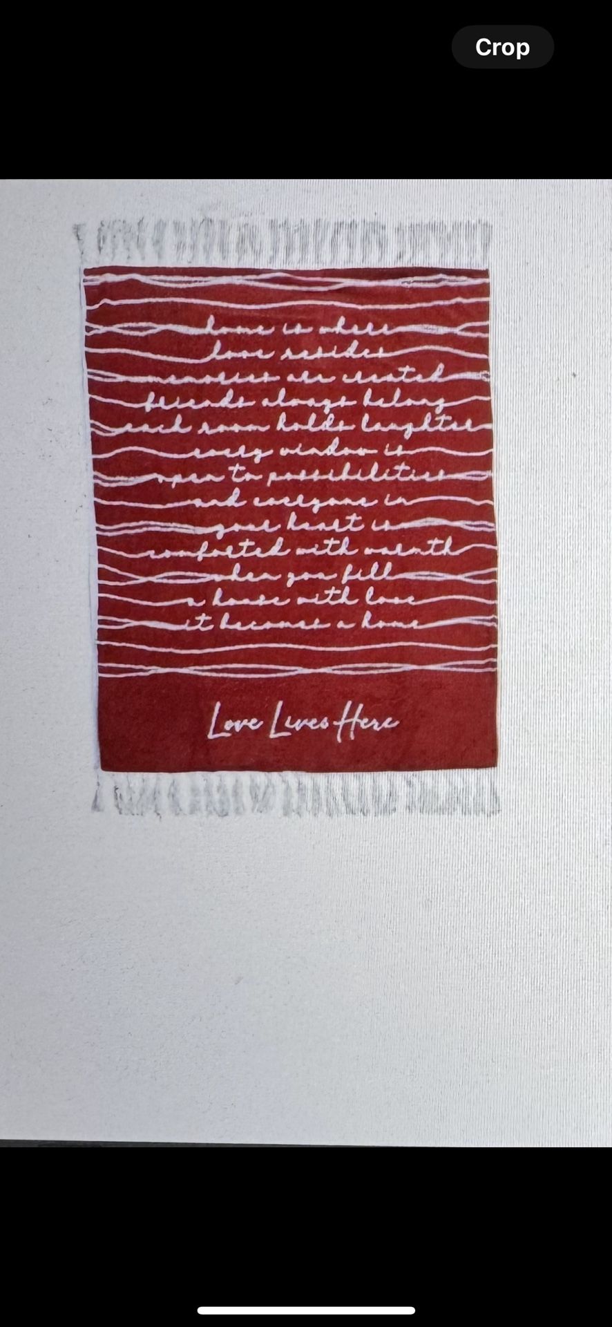 Pavilions Love Lives Here Plush Blanket NEW