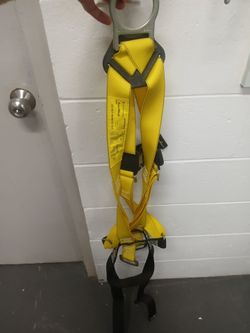 Safety harness