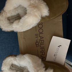Ugg Slippers