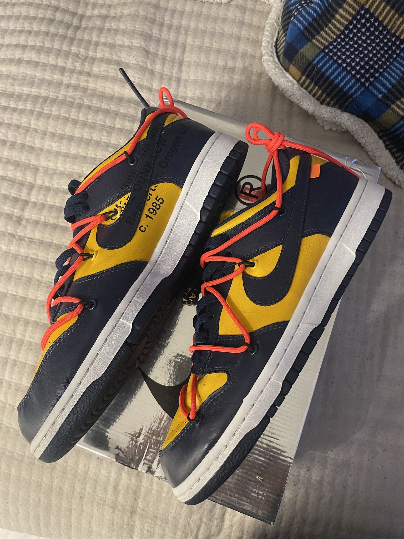 Nike Dunk Off White Michigan