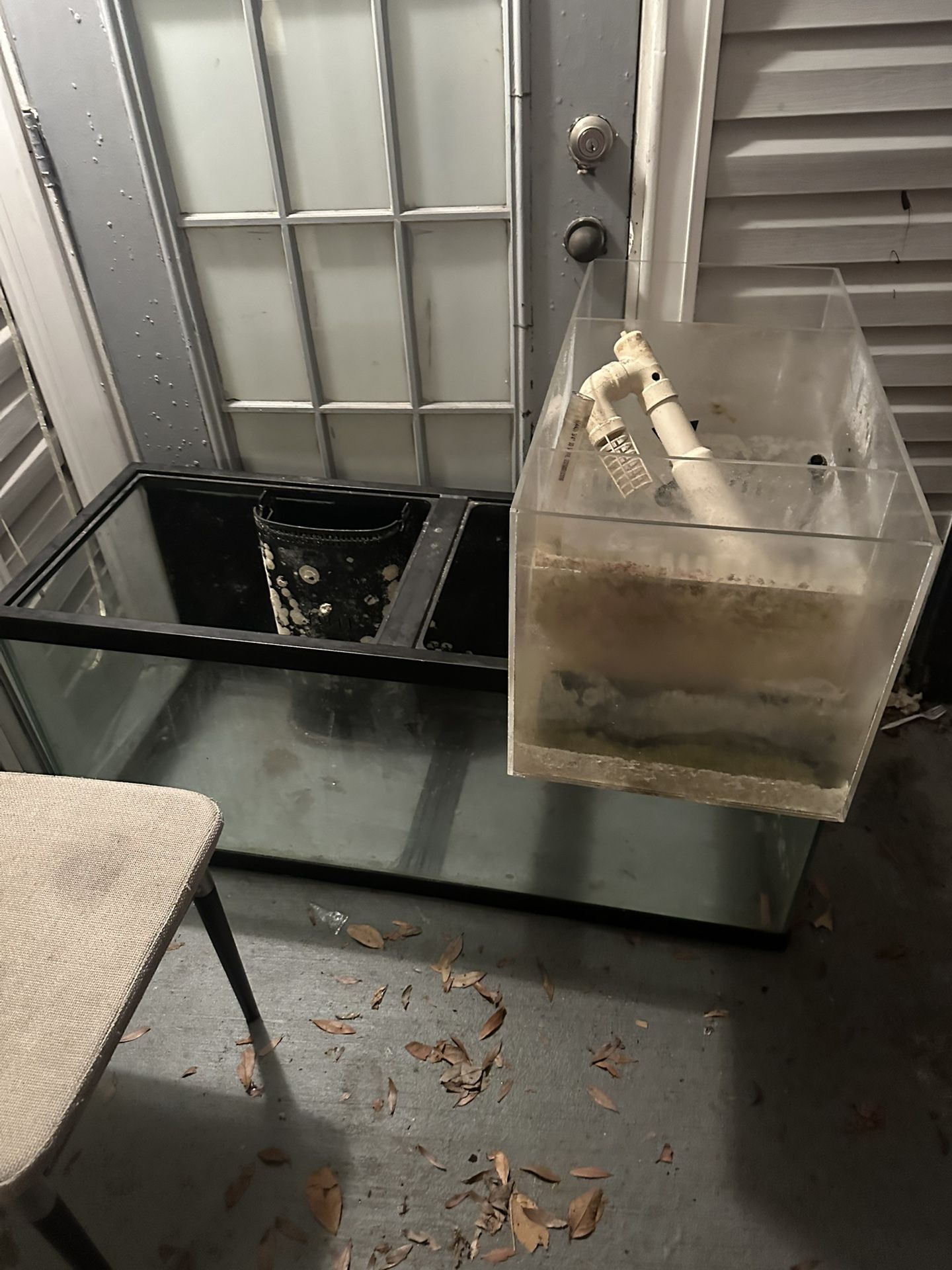 Saltwater Tank
