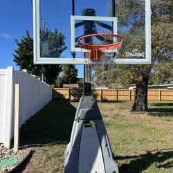Spalding Beast 60 Inch Tempered Glass