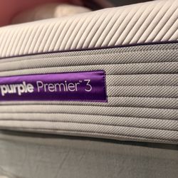 Purple Premier Purple King