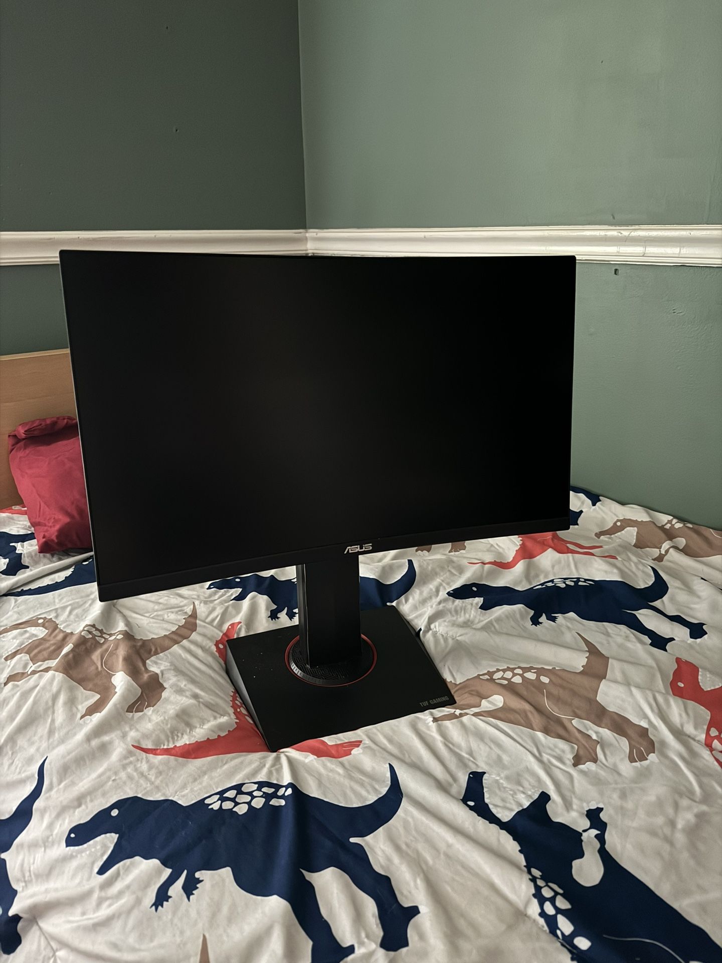 Asus Curved Monitor