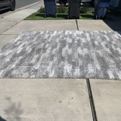Rug Indoor 10x13. $100