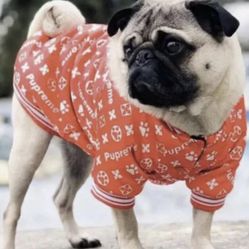 Spark Paws Pupreme Bomber Dog Jacket 