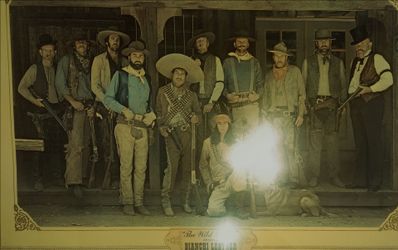 Western  pichture