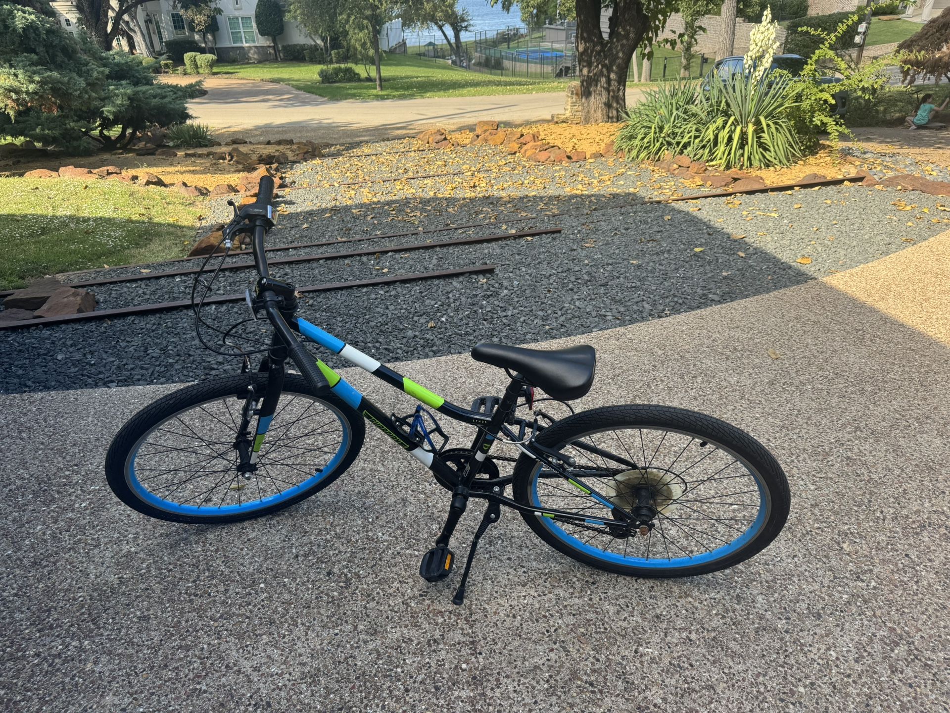 Guardian ethos Bike