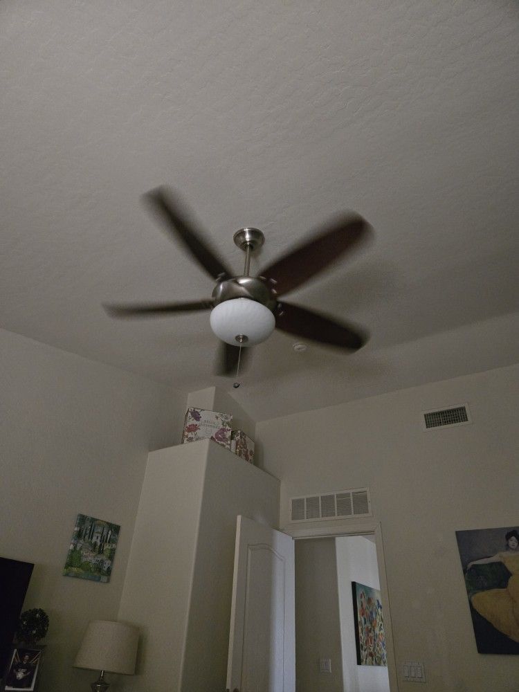 Large ceiling fan