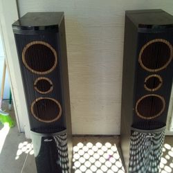 Tower Speakers - Empty Cabinets 