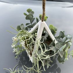 Hanging Succulents Decor