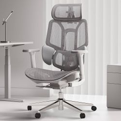 Hbada E3 Air Ergonomic Office/Computer Chair — 3-Zone Dynamic Lumbar Support, Adjustable 3D Headrest, Adjustable 3D Armrests, Swivel (No Footrest), Gr