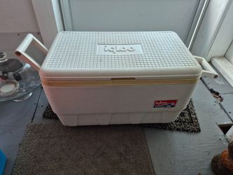Igloo coolers