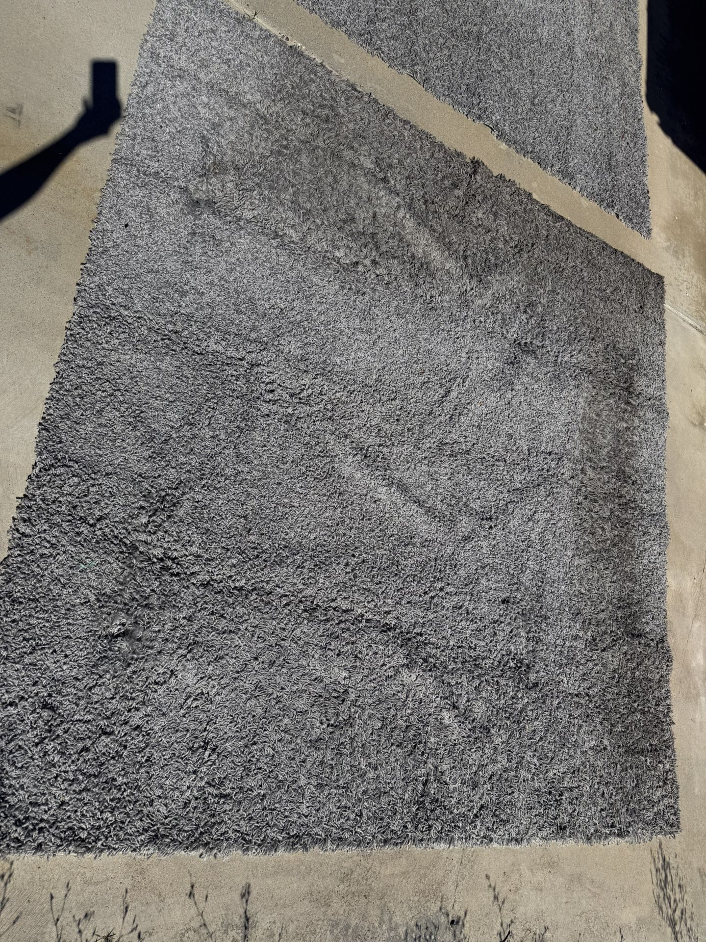 Rugs
