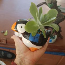 mini animal ceramic pots $4 each