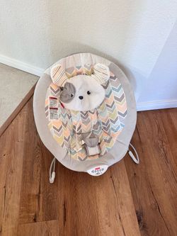 Fisher and price baby bouncer