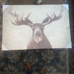Walll Art 