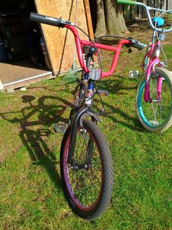 Boy SCHWINN And Girl Magna Bikes