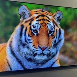 Sony Tv 55 Inch Smart Tv 4K XR55A80L OLED