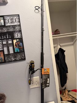 Brand new fishing pole