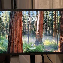LG 24MD4KL-B (LG UltraFine 4K 24”)