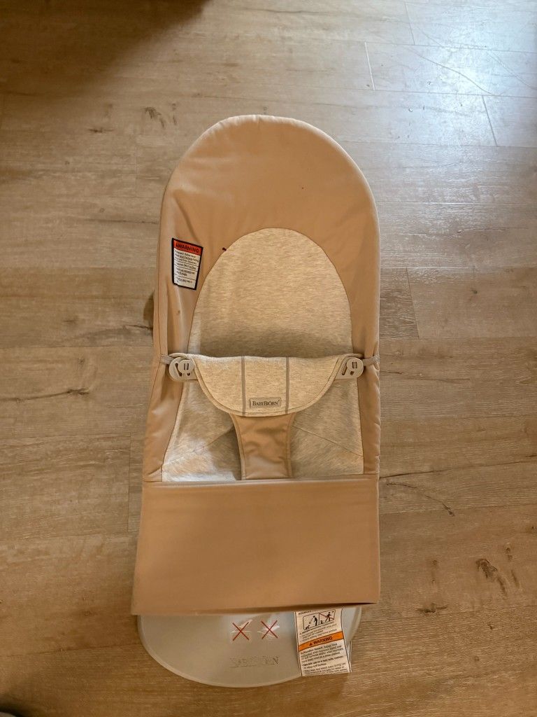 Baby Bjorn Baby Bouncer