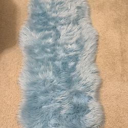 Faux fur fluffy area rug- set of two