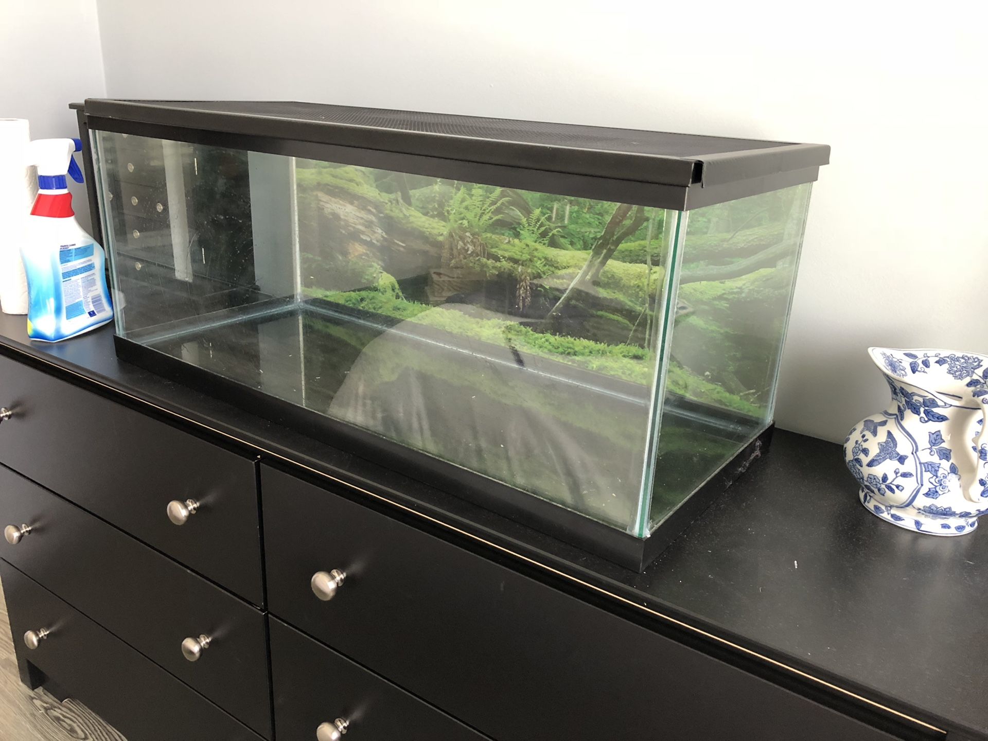 20 gallon aquarium or terrarium tank - motivated to sell