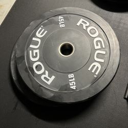 45LB Rogue Echo Bumper Plate Pair V2 for Sale in Heathrow FL OfferUp
