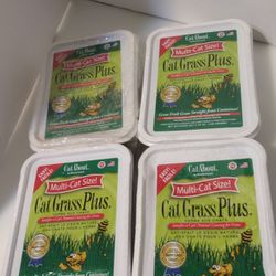 New 4 Pack Cat Grass